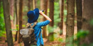 ESG – Attendu « avant l’été », le lancement des obligations transition se fait attendre.