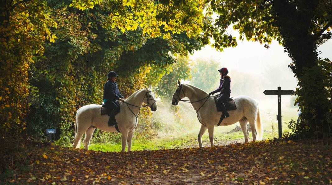 M&A – Le courtier en assurance emprunteur Magnolia et son actionnaire Qualium Investissement vont entrer au capital de Cheval Blanc Patrimoine.
