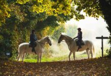 M&A – Le courtier en assurance emprunteur Magnolia et son actionnaire Qualium Investissement vont entrer au capital de Cheval Blanc Patrimoine.
