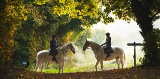 M&A – Le courtier en assurance emprunteur Magnolia et son actionnaire Qualium Investissement vont entrer au capital de Cheval Blanc Patrimoine.