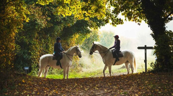 M&A – Le courtier en assurance emprunteur Magnolia et son actionnaire Qualium Investissement vont entrer au capital de Cheval Blanc Patrimoine.