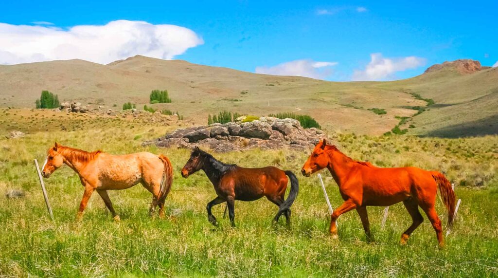 M&A – Après Athos Patrimoine, H.A. Conseils ou encore Couleurs Patrimoine, Rhétorès vient d’acquérir trois nouveaux cabinets de conseil en gestion de patrimoine