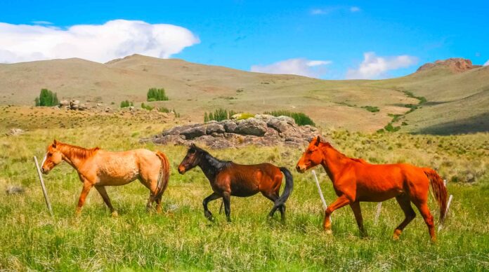 M&A – Après Athos Patrimoine, H.A. Conseils ou encore Couleurs Patrimoine, Rhétorès vient d’acquérir trois nouveaux cabinets de conseil en gestion de patrimoine