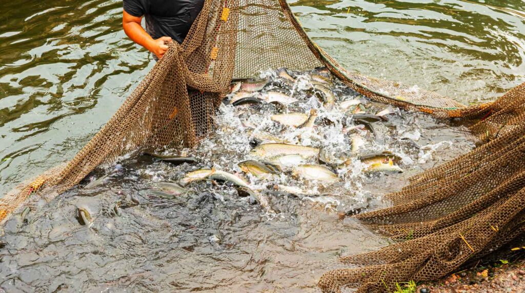 Stratégie – BDL Capital Management poursuit son fort développement.