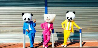 Infographies – Le multi-family office Ivesta veut multiplier par 2,5 ses encours, ses effectifs et son nombre de clients d’ici 2030.