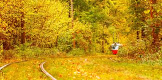 Infographies – La gestion d’actifs de BNP Paribas a enregistré une collecte nette de 12,1 milliards d’euros au troisième trimestre 2025 (dont 1,7 milliard apporté par Axa IM), contre 14,8 milliards durant les trois mois précédents.