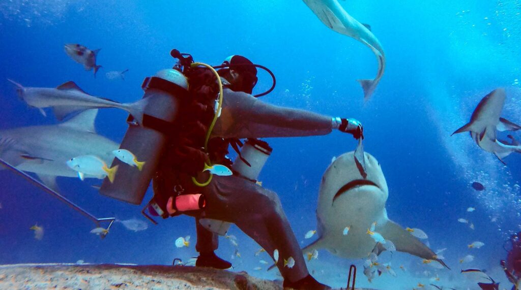 Infographies – À l’occasion de la publication trimestrielle, BNP Paribas a dévoilé ses objectifs de synergies pour Axa IM.