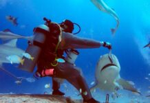 BNP Paribas – Le plan pour intégrer et développer Axa IM Infographies – À l’occasion de la publication trimestrielle, BNP Paribas a dévoilé ses objectifs de synergies pour Axa IM.