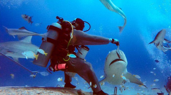 Infographies – À l’occasion de la publication trimestrielle, BNP Paribas a dévoilé ses objectifs de synergies pour Axa IM.