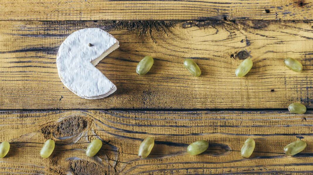 Infographie – Depuis l’entrée minoritaire du fonds Capital Croissance à son capital, Synalp a quasiment décuplé le montant de ses encours conseillés.