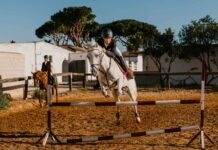 Stratégie – Mi-family office mi-asset manager, Katko Capital compte accélérer son développement.