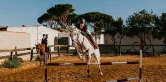 Stratégie – Mi-family office mi-asset manager, Katko Capital compte accélérer son développement.