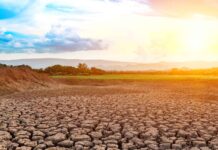 Infographies – La collecte nette de Natixis IM a chuté de 16 milliards à 1 milliard d’euros entre les deuxième et troisième trimestres 2025.