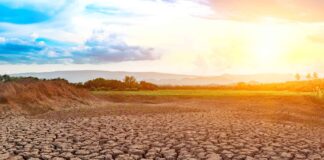 Infographies – La collecte nette de Natixis IM a chuté de 16 milliards à 1 milliard d’euros entre les deuxième et troisième trimestres 2025.