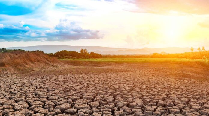 Infographies – La collecte nette de Natixis IM a chuté de 16 milliards à 1 milliard d’euros entre les deuxième et troisième trimestres 2025.