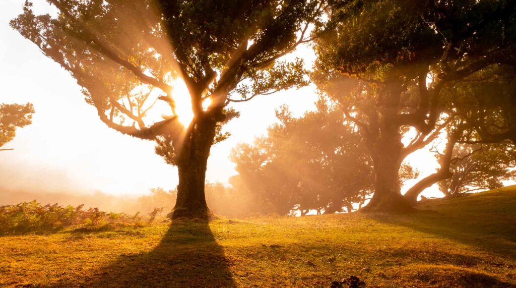 ETF – Comment WisdomTree veut pousser en France