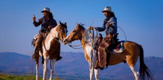 Infographies – Sanso Longchamp AM veut porter ses encours à 5 milliards d’euros à horizon 2028.