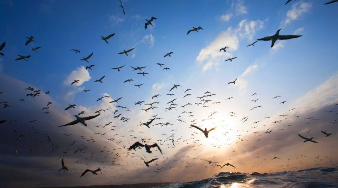 Infographies – La collecte nette des PER assurantiels a crû de 37,5% entre septembre et octobres derniers, selon les derniers chiffres de France Assureurs.