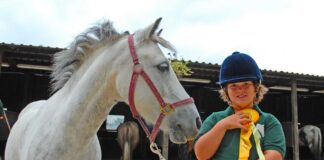 CGP – Malakoff Humanis est récemment entré en négociation exclusive avec Magnolia.