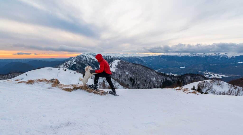 MACSF – Nouveaux sommets pour la collecte et les encours