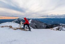 Infographies – MACSF a réalisé une collecte brute record d’environ 2,44 milliards d’euros en 2025 en épargne et en retraite, tandis que ses encours se sont hissés à 32,9 milliards.