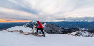 Infographies – MACSF a réalisé une collecte brute record d’environ 2,44 milliards d’euros en 2025 en épargne et en retraite, tandis que ses encours se sont hissés à 32,9 milliards.