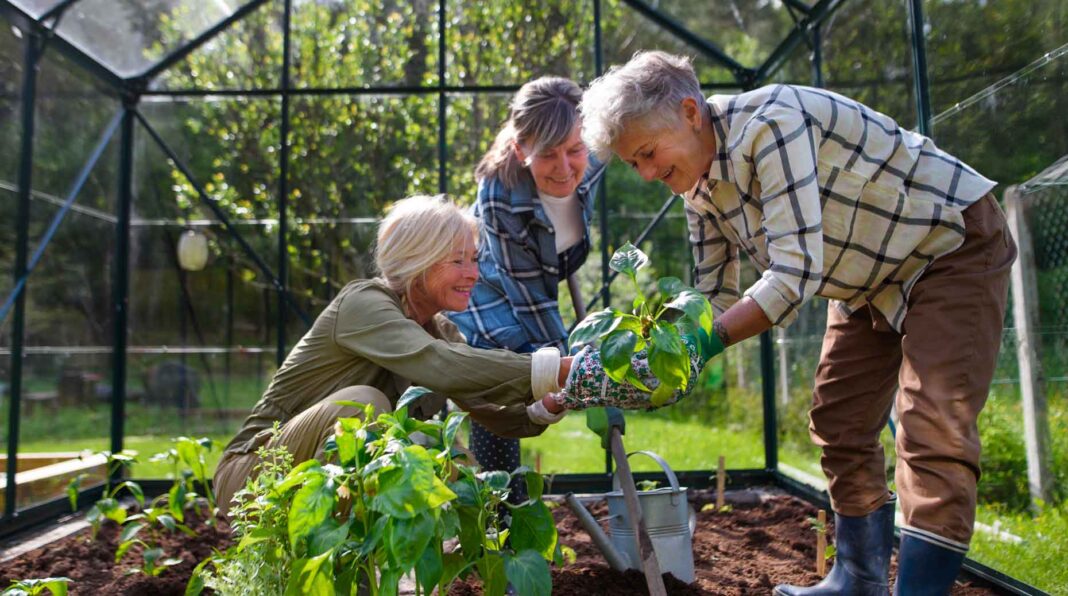 Délégation - L’ERAFP vient d’attribuer six mandats de gestion ISR d’obligations à Lombard Odier Funds, BNP Paribas Asset Management, M&G, Aberdeen Investments, CPRAM et Myria AM.