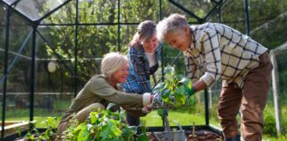 Délégation - L’ERAFP vient d’attribuer six mandats de gestion ISR d’obligations à Lombard Odier Funds, BNP Paribas Asset Management, M&G, Aberdeen Investments, CPRAM et Myria AM.