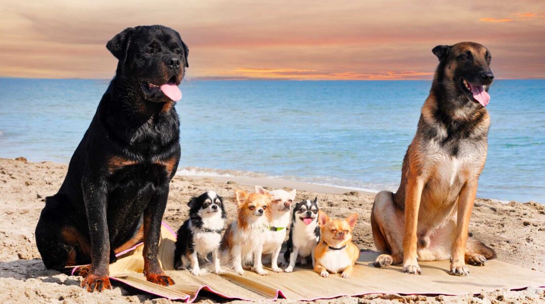 M&A – Groupe Premium vient d’entrer au capital du CGP et family office lyonnais Familiance en tant qu’actionnaire majoritaire.