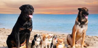 M&A – Groupe Premium vient d’entrer au capital du CGP et family office lyonnais Familiance en tant qu’actionnaire majoritaire.