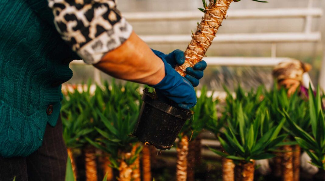 Finance durable – Après avoir cédé Novethic à l’AEF, la Caisse des Dépots vient d’accepter l’offre de rachat de son activité de labellisation Greenfin par Bureau Veritas.