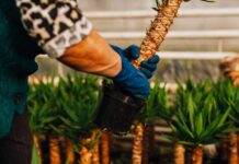 Finance durable – Après avoir cédé Novethic à l’AEF, la Caisse des Dépots vient d’accepter l’offre de rachat de son activité de labellisation Greenfin par Bureau Veritas.