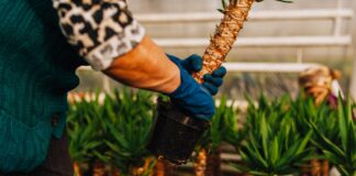 Finance durable – Après avoir cédé Novethic à l’AEF, la Caisse des Dépots vient d’accepter l’offre de rachat de son activité de labellisation Greenfin par Bureau Veritas.