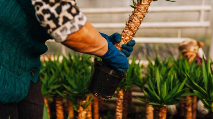 Finance durable – Après avoir cédé Novethic à l’AEF, la Caisse des Dépots vient d’accepter l’offre de rachat de son activité de labellisation Greenfin par Bureau Veritas.