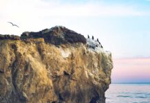 Gestion de patrimoine – Après J&G Conseil (devenu Lumnis Gestion Privée) et La Financière de Saint Lambert, Finare Patrimoine s’offre Expertalys.