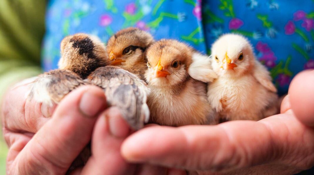 CGP – Capital Managers & Associés, Meyon Ultim Paris et Loisel Patrimoine Conseil s’unissent sous l’égide de Financiale Gestion Privée.