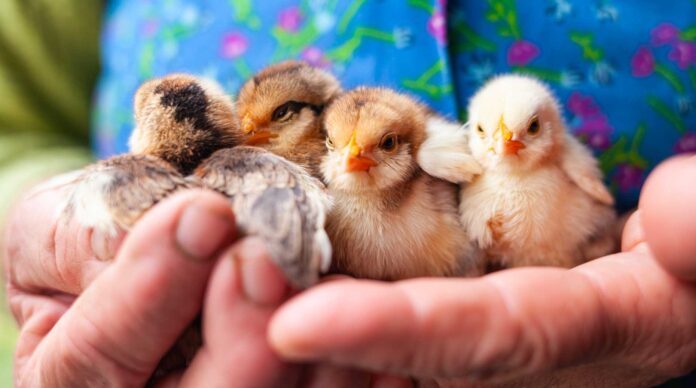 CGP – Capital Managers & Associés, Meyon Ultim Paris et Loisel Patrimoine Conseil s’unissent sous l’égide de Financiale Gestion Privée.