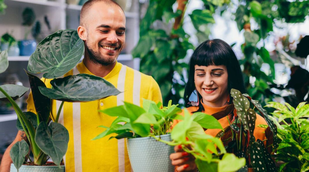 Infographies – Yomoni enregistre une collecte brute record de plus de 650 millions d’euros en 2025, contre 400 millions un an plus tôt.