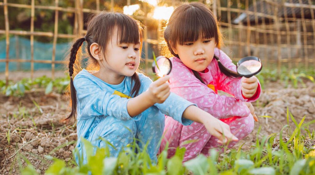 LBP AM – La collecte monte plus vite que l’encours en 2025