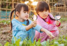 LBP AM – La collecte monte plus vite que l’encours en 2025 Infographie – LBP AM fait état d’une collecte nette de 3,8 milliards d’euros à périmètre constant l’an dernier.