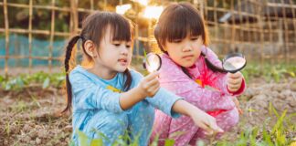 Infographie – LBP AM fait état d’une collecte nette de 3,8 milliards d’euros à périmètre constant l’an dernier.