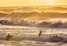 Infographies – Natixis IM a collecté 40 milliards d’euros nets en 2025, réitérant sa performance de l’année précédente.