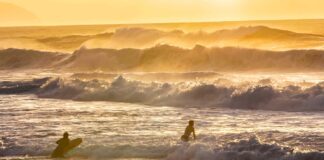 Infographies – Natixis IM a collecté 40 milliards d’euros nets en 2025, réitérant sa performance de l’année précédente.