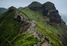 Infographies – La gestion de fortune de Crédit Agricole fait état d’une collecte nette de 6,2 milliards d’euros en 2025, un niveau proche des 6,5 milliards récoltés un an plus tôt.