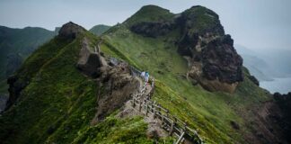 Infographies – La gestion de fortune de Crédit Agricole fait état d’une collecte nette de 6,2 milliards d’euros en 2025, un niveau proche des 6,5 milliards récoltés un an plus tôt.