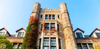 Infographies – Les actifs sous gestion d’Ivo Capital Partners ont crû de 20% l’an dernier, pour atteindre 2,3 milliards d’euros.