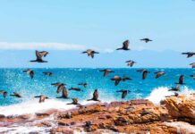 Fintech – Le spécialiste des actifs non cotés Owners opère un virage stratégique après que son équipe a profondément évolué.