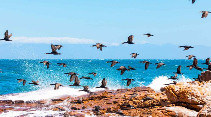 Fintech – Le spécialiste des actifs non cotés Owners opère un virage stratégique après que son équipe a profondément évolué.