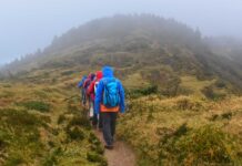 Infographies – Après avoir souffert depuis 2022, les financements LBO commencent à se redresser sur fond de remontée du nombre d’opérations au second semestre 2025.