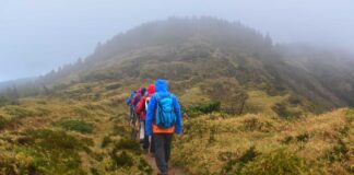 Infographies – Après avoir souffert depuis 2022, les financements LBO commencent à se redresser sur fond de remontée du nombre d’opérations au second semestre 2025.